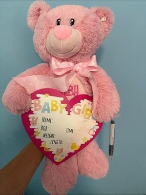 NWOT Pink Teddy Bear